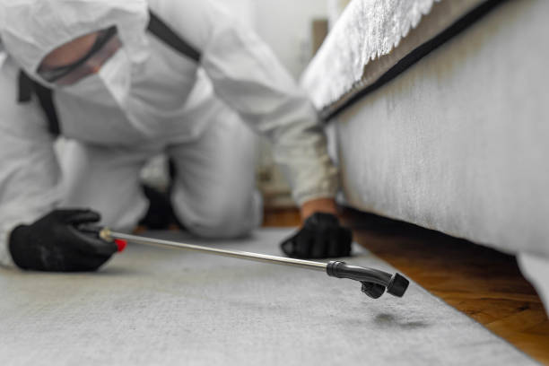 Professional Termite Control technician working in Halfway, MD