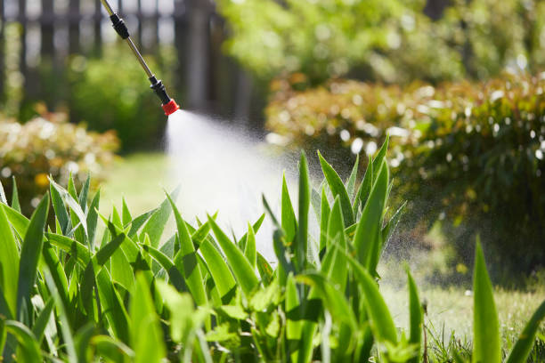 24/7 Emergency Termite Control experts in Halfway, MD