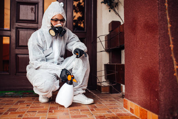 Reliable Termite Control contractor in Halfway, MD by Nex Pest Control